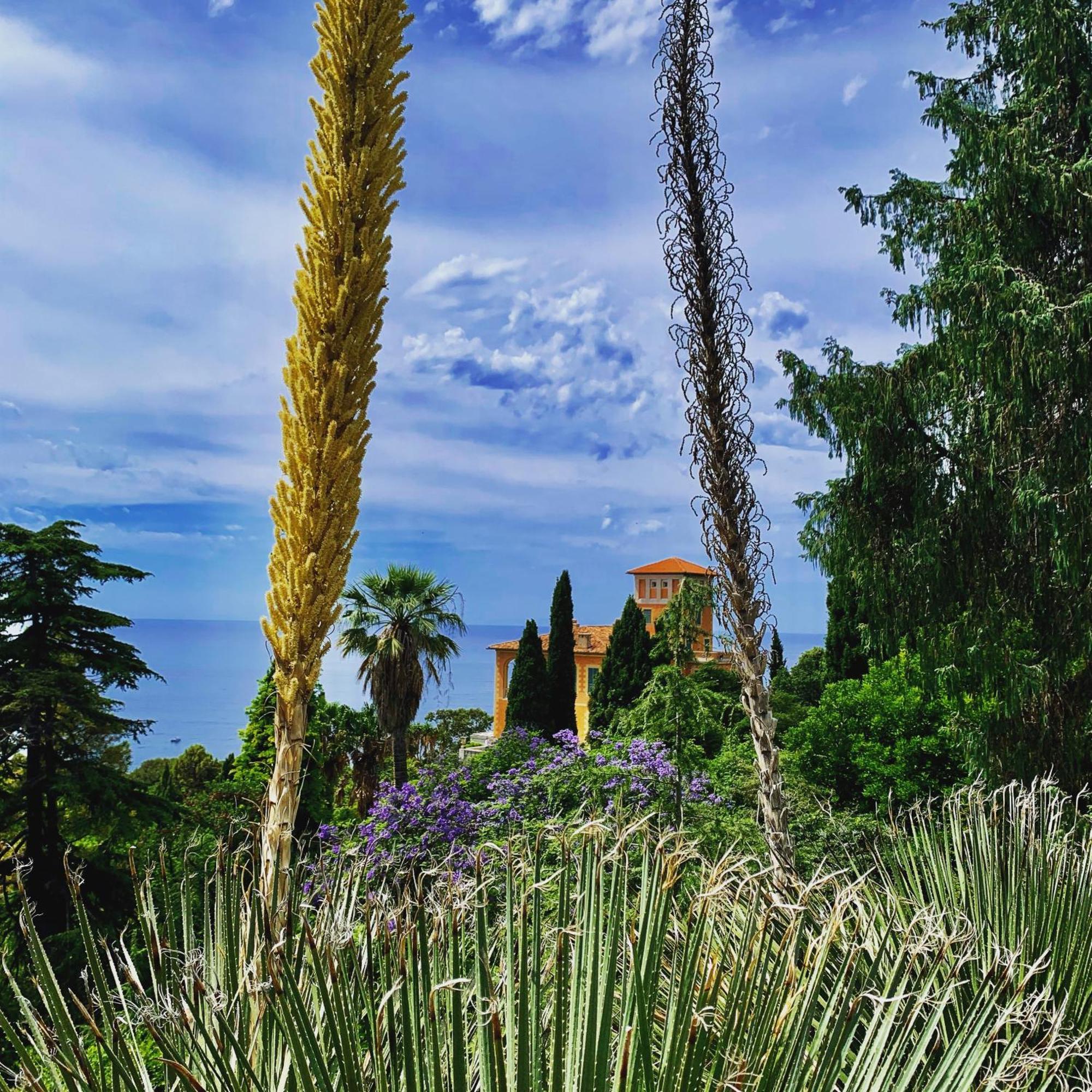 Appartamento Casa Cele Centro Citta Vista Mare Ventimiglia Esterno foto